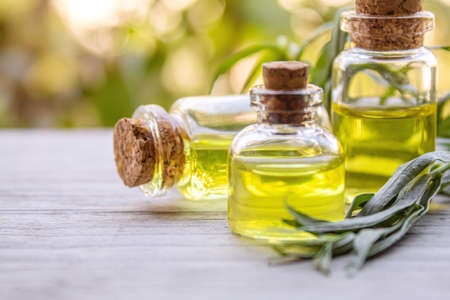 Essential oil of tarragon in a bottle. Selective focus. nature.の写真素材