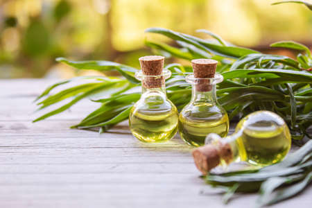 Essential oil of tarragon in a bottle. Selective focus. nature.の写真素材