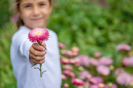 The child gives a flower. Selective focus.natureの写真素材