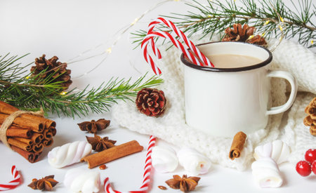 Christmas Cocoa with marshmallows. neweyar Holiday. Selective focus.foodの写真素材