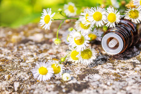 Medicinal herbs in bottles. chamomile oil extract. Selective focus. Nature.の写真素材