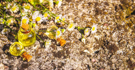 Medicinal herbs in bottles. chamomile oil extract. Selective focus. Nature.の写真素材