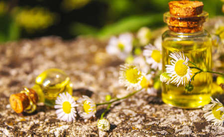 Medicinal herbs in bottles. chamomile oil extract. Selective focus. Nature.の写真素材
