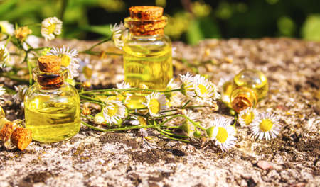 Medicinal herbs in bottles. chamomile oil extract. Selective focus. Nature.の写真素材