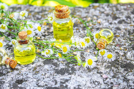 Medicinal herbs in bottles. chamomile oil extract. Selective focus. Nature.の写真素材