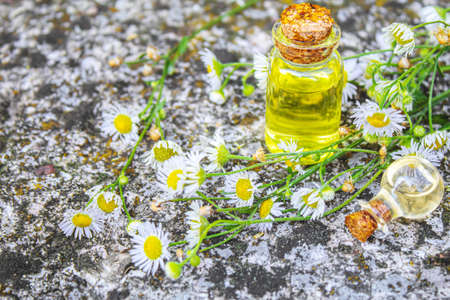 Medicinal herbs in bottles. chamomile oil extract. Selective focus. Nature.の写真素材