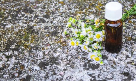 Medicinal herbs in bottles. chamomile oil extract. Selective focus. Nature.の写真素材