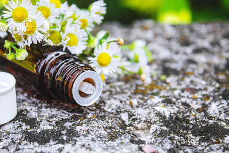 Medicinal herbs in bottles. chamomile oil extract. Selective focus. Nature.の写真素材