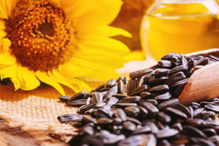 Sunflower seeds and oil bottle on old wooden background. Selective focus.natureの写真素材