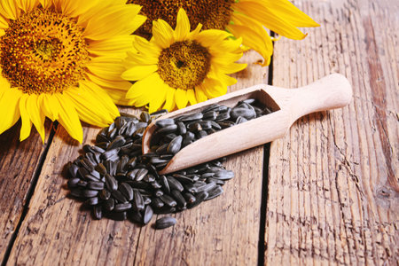 Sunflower seeds and oil bottle on old wooden background. Selective focus.natureの写真素材