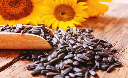 Sunflower seeds and oil bottle on old wooden background. Selective focus.natureの写真素材