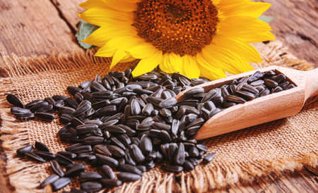 Sunflower seeds and oil bottle on old wooden background. Selective focus.natureの写真素材