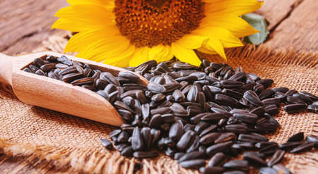 Sunflower seeds and oil bottle on old wooden background. Selective focus.natureの写真素材