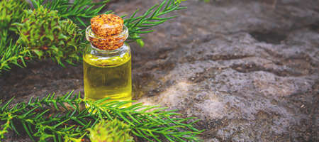 Bottles of fir and green cones essential oil. Selective focus. Natureの写真素材