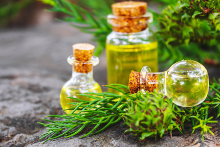 Bottles of fir and green cones essential oil. Selective focus. Natureの写真素材