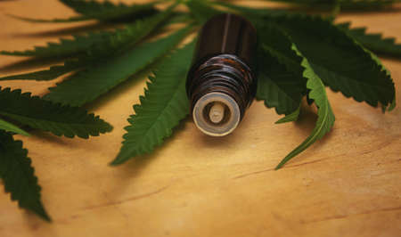 Cannabis essential oil in a small bottle. selective focus. nature.の写真素材