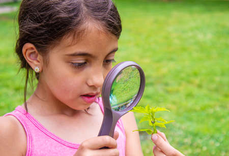 Children take care of nature tree in their hands. selective focus. natureの写真素材