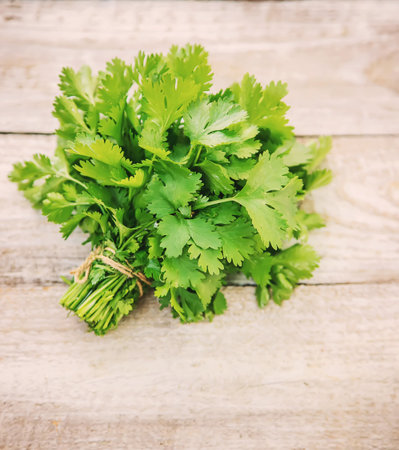 Fresh homemade herbs from the parsley garden. selective focus. nature.の写真素材