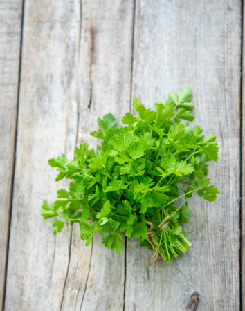 Fresh homemade herbs from the parsley garden. selective focus. nature.の写真素材
