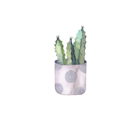Cactus in polka dot ceramic pot illustration isolated. Home plants hand drawn for postcard design, interior design, shops and your trendy design.の写真素材