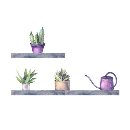 House plants on the shelf watercolor illustration isolated. Home plants hand drawn for postcard design, interior design, shops and your trendy design.の写真素材