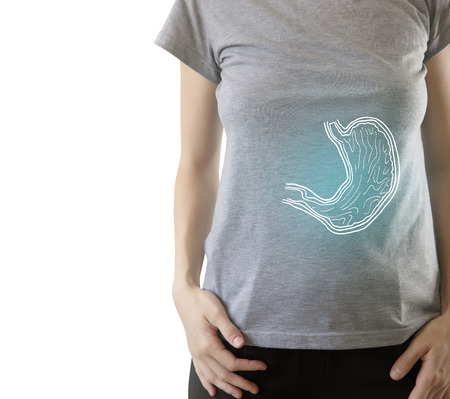 Digital composite of highlighted healthy stomach of woman / healthcare and medicine conceptsの写真素材