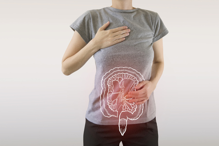 Digital composite of highlighted red painful intestine of woman / health care & medicine conceptの写真素材