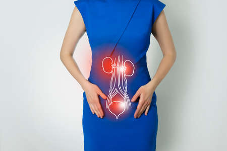 Photo template of unrecognizable woman representing graphic visualization of kidneys and bladder organ highlighted red. Detox and digestive system health concept. Photo / linear handrawn illustration.の写真素材