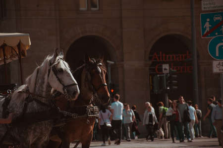 17 May 2019 Dresden, Germany - horse carriages in the historic city of Dresdenのeditorial素材
