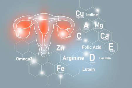 Essential nutrients for Uterus health including Omega 3, Arginine, Lutein, Lecithin. Design set of main human organs with molecular grid, micronutrients and vitamins on light gray background.の写真素材
