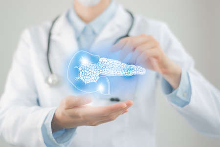 Female doctor holding virtual pancreas in hand. Handdrawn human organ, raw photo colors. Health care hospital service concept stock photoの写真素材