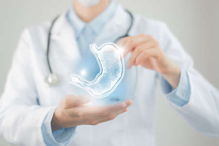 Female doctor holding virtual Stomach in hand. Handdrawn human organ, blurred photo, raw colors. Health care hospital service concept stock photoの写真素材