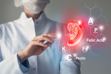 Essential nutrients for Spleen health including Pectin, Folic Acid, Vitamin P, Ferrum. Blurred portrait of doctor holding highlighted red volumetric drawing of Spleen.の写真素材