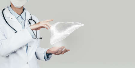 Female doctor holding virtual volumetric drawing of Liver in hand. Handrawn human organ, copy space on right side, gray hdr color. Healthcare / scientific technologies concept stock photoの写真素材