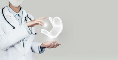 Female doctor holding virtual Stomach in hand. Handrawn human organ, copy space on right side, grey hdr color. Healthcare hospital service concept stock photoの写真素材
