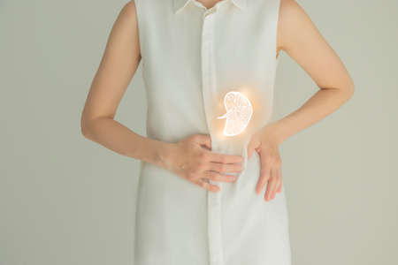 Unrecognizable female patient in white clothes, highlighted handrawn spleen in hands. Human spleen issues concept.の写真素材