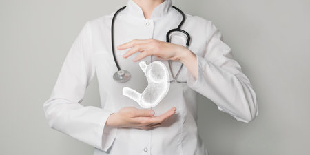 Stomach issues medical concept. Photo of female doctor, empty space.の写真素材