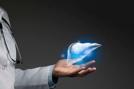 Liver issues medical concept. Photo of female doctor, empty space.の写真素材