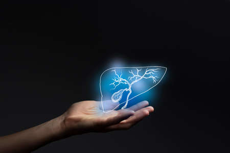 Gastroenterologist doctor, gall bladder issues. Medical technologies concept. Gastroenterology.の写真素材