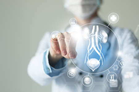 Telemedicine and human Bladder and Kidneys recovery concept. Neutral color palette, copy space for text.の写真素材