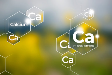 Immunity protection concept, Calcium. Hexagons with Calcium icon, blurry background.の写真素材
