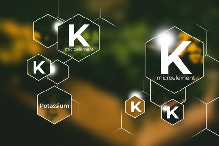 Microelement supplement concept, Potassium (K). Hexagons with Potassium (K) icon, blurry background.の写真素材