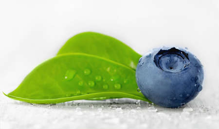wild blueberry with green leaves and drops of waterの写真素材