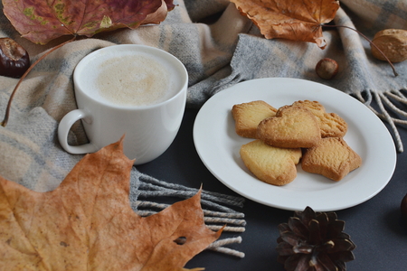Tea Cup Hot Coffee Cappuccino Autumn Time Cookie Tinted Toned Photo Knitting Scarf Yellow Leaves...