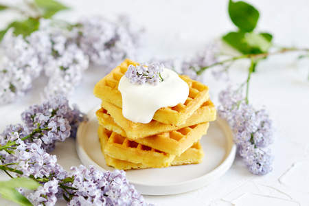 Cup with cappuccino, plate with Belgian waffles, white vase with violet lilac flowers, morning conceptの写真素材