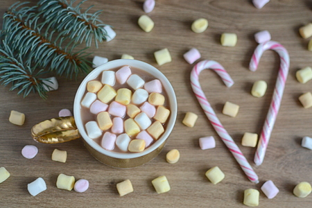 Hot chocolate, cocoa with marshmallows, Christmas New Year concept