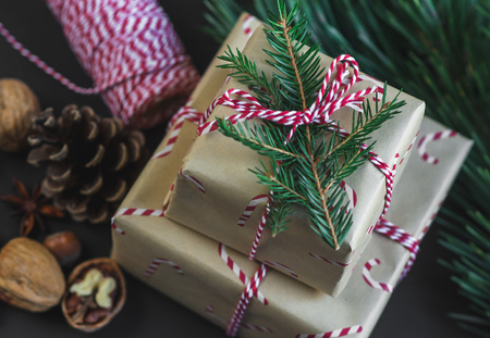 Christmas Pine Cones Nuts