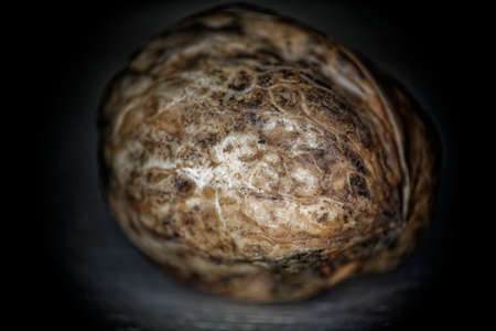 Close-up photo of a walnut on a dark background, isolated photo of walnut