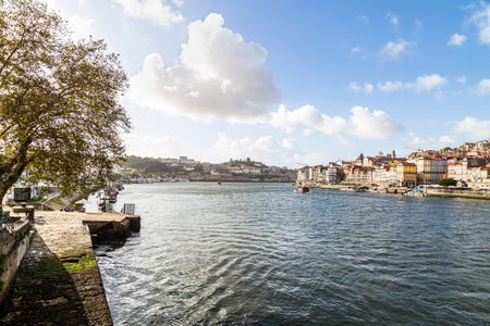 Porto, Portugal - NOVEMBER 05, 2019: Top view of buildings with red roofs in the city center of Porto, photo taken at the clÃ©rigos church, with sunbeamのeditorial素材