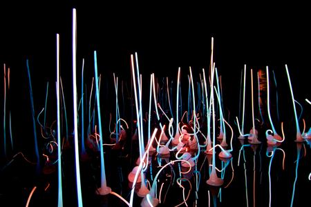 SEATTLE, WASHINGTON, USA - JAN 23rd, 2017: Glass Forest Exhibit by American Artist Dale Chihuly at Chihuly Glass and Garden Museum.のeditorial素材